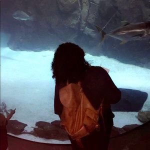 Meet your Posher, Liz